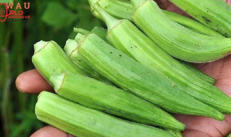 This Is What Happens To Your Body When You Consume Okra Every Day
