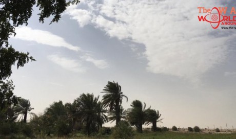 Qatar, Abu Samra clocked the lowest temperature at 2 degree Celsius