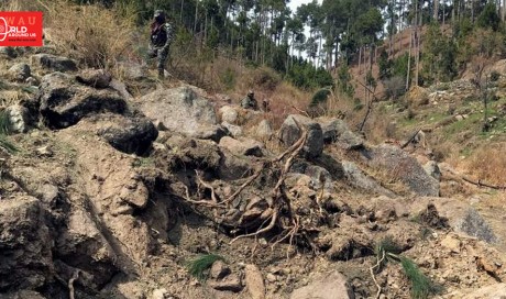 Pakistan registers case against Indian pilots for bombing trees
