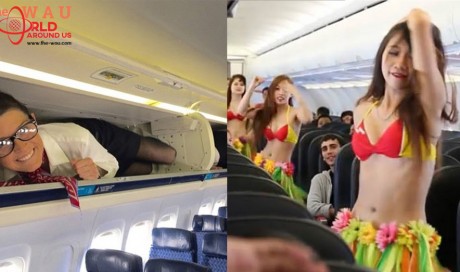 7 Most Unexpected Things Happened On Airplanes