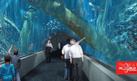 Middle East largest Aquarium: Here is when Oman's new aquarium will open