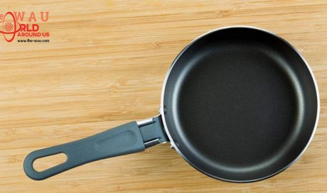 Expat hits roommate to death with frying pan