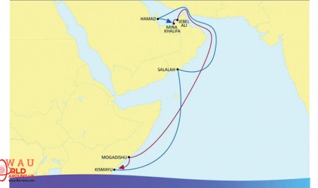 Qatar-Somalia first direct shipping service launched