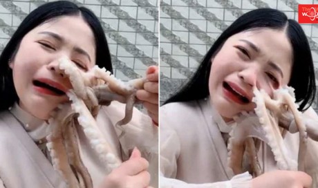 Chinese vlogger tries to eat octopus alive, gets attacked