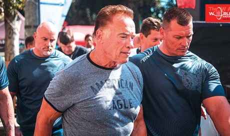 Video: Arnold Schwarzenegger attacked at event in South Africa