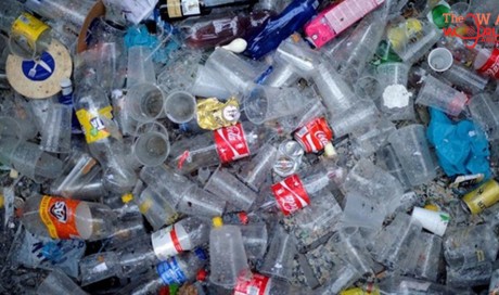 Humans consume thousands of plastic particles each year, study finds