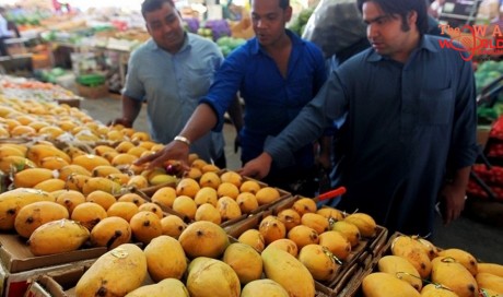 Pakistani mangoes arrive in UAE after weeks of delay