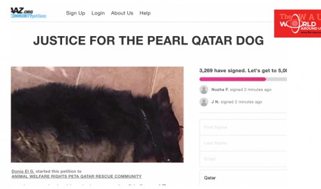 Justice for the Pearl dog goes viral on social media in Qatar