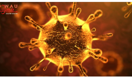 Coronavirus in Saudi Arabia Alert