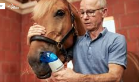 Boehringer Ingelheim receives approval for Aservo® EquiHaler®, industry first therapy for severe equine asthma 