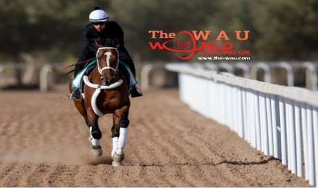 Saudi Racing Cup, Horse Racing cup, Saudi Arabia