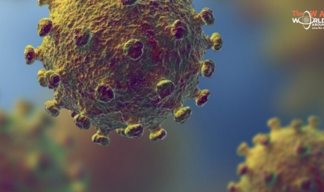 First person dies of coronavirus in New Zealand
