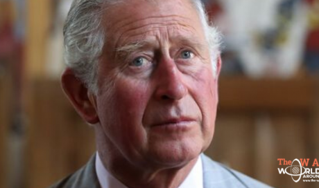 Coronavirus: Prince Charles makes first appearance since COVID-19 diagnosis