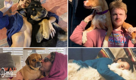 STARS RUFFING OUT ISOLATION WITH PETS CANINE AND CHILL!