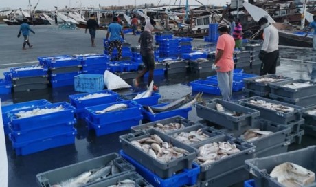 Ministry issues weekly prices for selling fish and seafood
