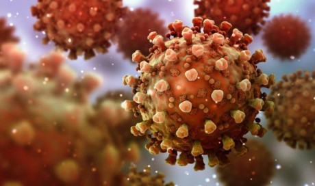 Coronavirus immunity: Can you catch it twice?
