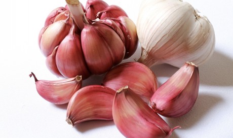 Top 5 Incredible Health Benefits Offered By Garlic