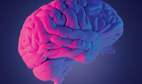 Our brains remain active all the time, says a new Cambridge study