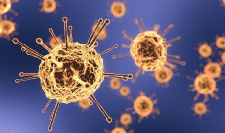 India virus infections cross one million - reports