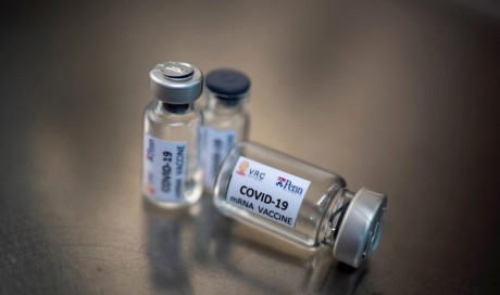 7 Indian firms in race to develop Covid-19 vaccine: Where do we stand now