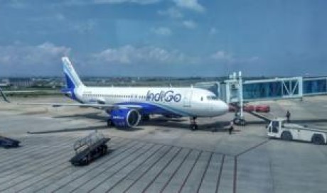 Coronavirus: India\'s biggest airline IndiGo to cut 10% of staff
