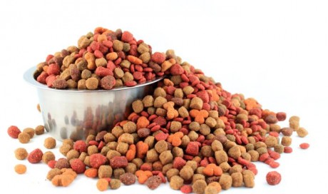 7 Vet-Recommended Pet Food Brands for Your Dog