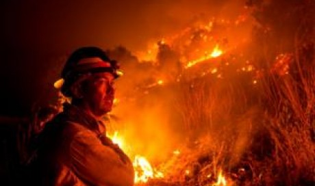 Global warming \'driving California wildfires\'