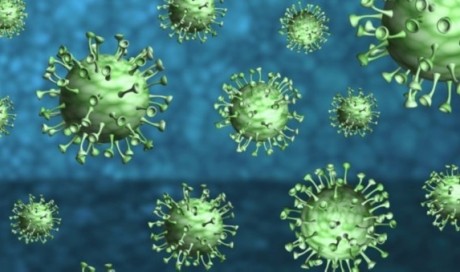 528 new coronavirus cases, 11 deaths reported in Oman