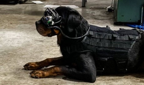 US Army trials augmented reality goggles for dogs