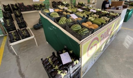 Winter markets sell over 70 tonnes vegetables on 1st day