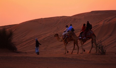 CAMEL RIDE In Dubai- Fill Thrill & Enjoyment in Your Life