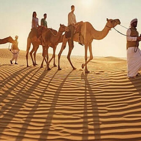 4-Hour Morning Desert Safari with Camel Ride